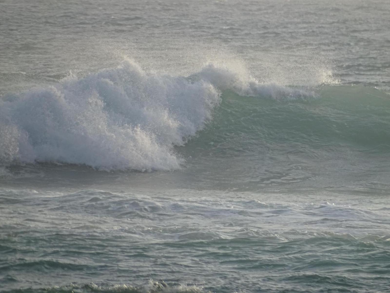 מידיגמה איסט Shehara Sun Surf Lodge מראה חיצוני תמונה